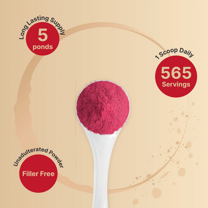 Gadrax Organic Beet Powder 4,000mg | 5lbs